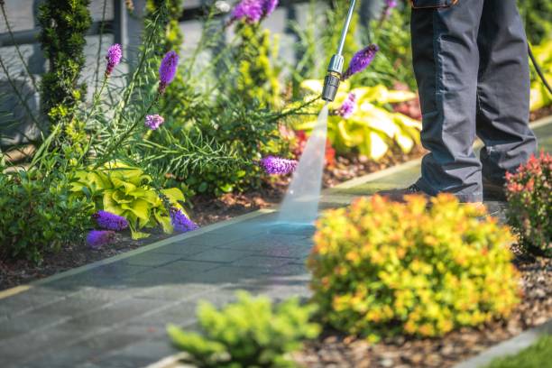 Best Fence Cleaning  in Coplay, PA